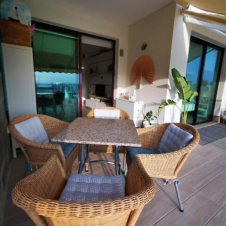 Arara Azul Interior 2 En Apartamento *